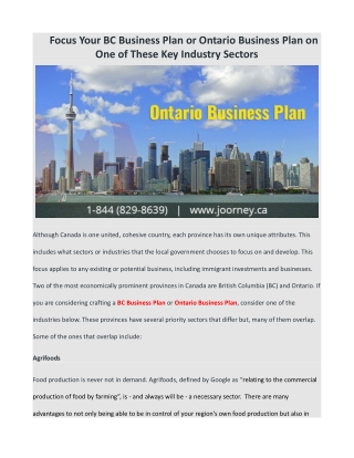 Focus Your BC Business Plan or Ontario Business Plan on One of These Key Industry Sectors