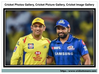 Cricket Image Gallery | Free Cricket Images | Cricketnmore