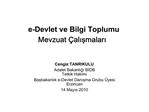 E-Devlet ve Bilgi Toplumu Mevzuat alismalari