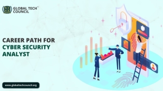 Career Path for Cyber Security Analyst