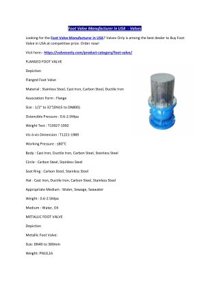 Foot Valve Manufacturer in USA  - Valves Only