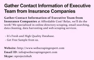 Gather Contact Information of Executive Team from Insurance Companies