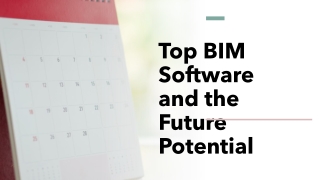 Future Potential for BIM Software