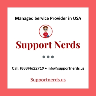 IT Consulting & Managed Service Provider in USA - SupportNerds