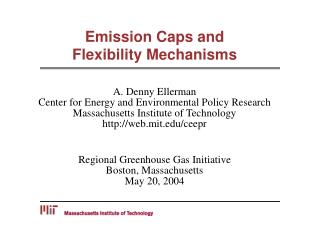 Emission Caps and Flexibility Mechanisms
