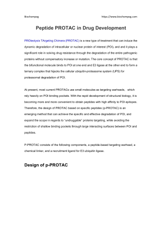 Peptide PROTAC in Drug Development