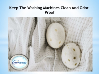 Keep The Washing Machines Clean And Odor-Proof With OdorCrush