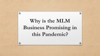 Why is the MLM business Promising in this Pandemic?