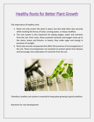 Healthy Roots for Better Plant Growth