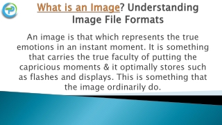 What is an Image? Understanding Image File Formats