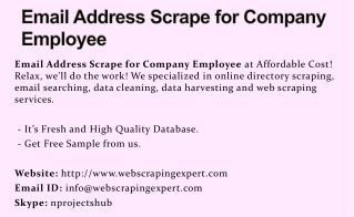 Email Address Scrape for Company Employee