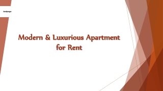 Modern & Luxurious Apartment for Rent