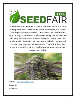 Pot Seeds Online | Theseedfair.com