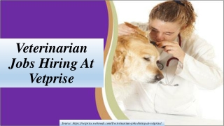 Veterinarian Jobs Hiring At Vetprise