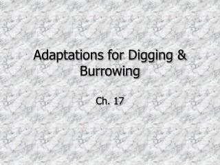 Adaptations for Digging &amp; Burrowing