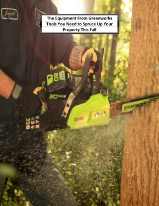 The Equipment From Greenworks Tools You Need to Spruce Up Your Property This Fall