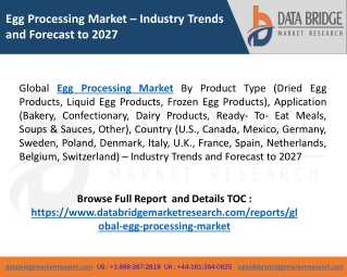 Introducing Market Research On Egg Processing Market2020-2027