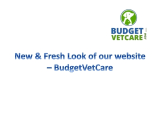 New & Fresh Look of our website – BudgetVetCare