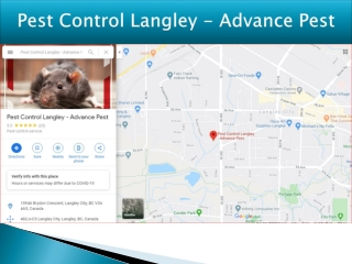Pest Control Langley