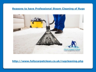 Reasons to have Professional Steam Cleaning of Rugs