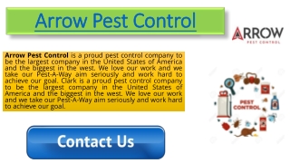 Massey Pest Control