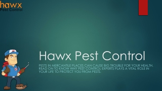 Know Why Pest Control is Important for You