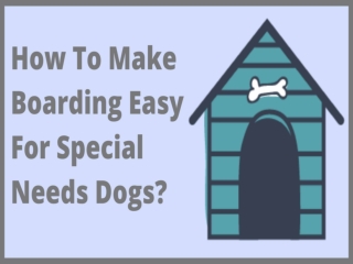 How To Make Boarding Easy For Special Needs Dogs