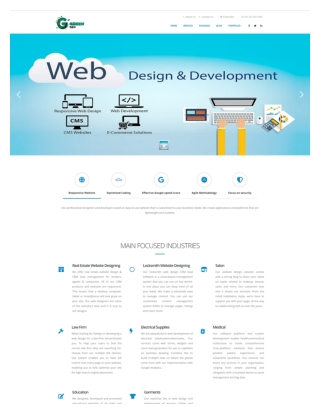 Website development