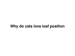 Why Do Cat Sit In Loaf Position?