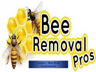 Professional Temecula Bee removal specialists - Bee Removal Pros
