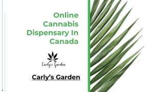 Online Cannabis Dispensary In Canada - Carly's Garden
