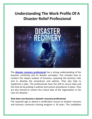 Understanding the work profile of a disaster relief professional