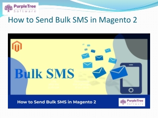 How to Send Bulk SMS in Magento 2