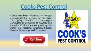 Cooks Pest control helps you in cleaning pests from your place