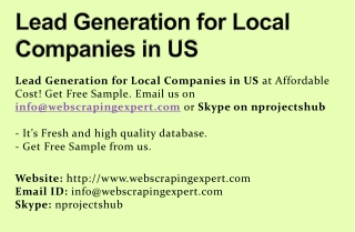Lead Generation for Local Companies in US