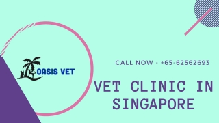 How To Find The Right Veterinary Dentist In Singapore For Your Pet?