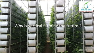 Why is vertical farming the future ?