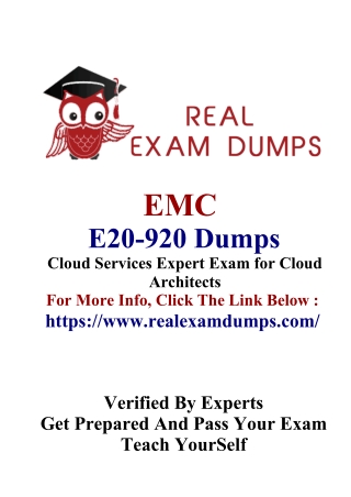 EMC E20-920 Exam Simulator - RealExamDumps