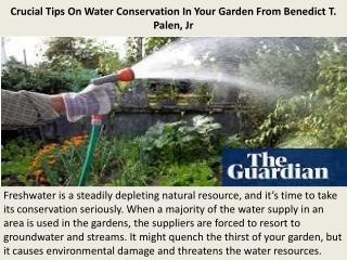 Crucial Tips On Water Conservation In Your Garden From Benedict T. Palen, Jr