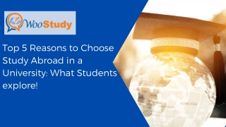 Top 5 Reasons to Choose Study Abroad in a University: What Students explore!