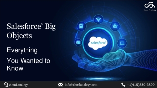 Salesforce Big Objects-Everything You Wanted to Know