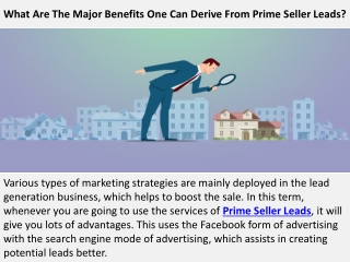 What Are The Major Benefits One Can Derive From Prime Seller Leads?