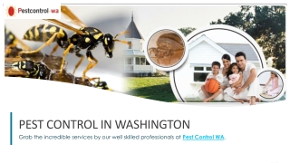 Pest Control in Washington