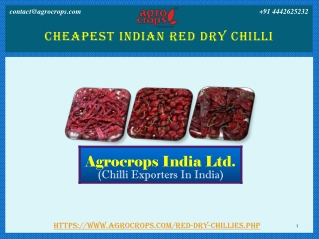 Cheapest Indian Red Dry Chilli