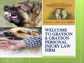 Consult with Best dog bite attorney Los Angeles for your pet