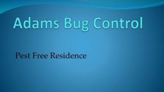 Adams Bug Control