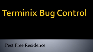 Terminix Bug Control