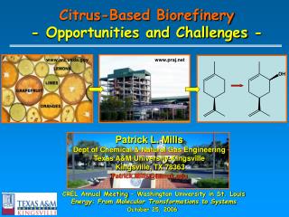 Citrus-Based Biorefinery - Opportunities and Challenges -
