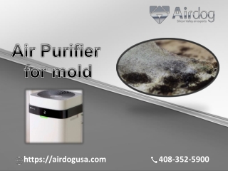 Best quality of Air purifier for Mold at an affordable price | Airdog USA