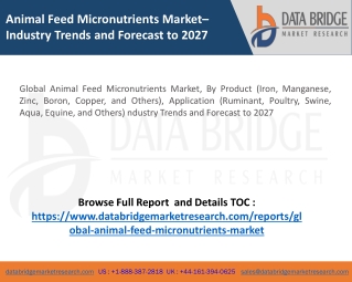 Introducing Market Research On Animal Feed Micronutrients Market 2020-2027